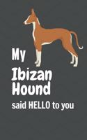 My Ibizan Hound said HELLO to you: For Ibizan Hound Dog Fans