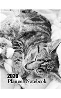 2020 Planner Notebook: Tabby Cat Planner Book With Monthly and Weekly Calendars, Monthly Budget Sheet and Weekly Meal Plan