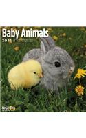 Cal 2021- Baby Animals Wall