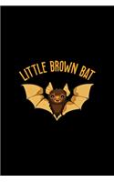Little Brown Bat: Notebook Journal Composition Blank Lined Diary Notepad 120 Pages Paperback Black Solid Bat