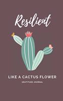 Resilient like a Cactus Flower
