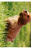 Adorable Cocker Spaniel Puppy in the Grass Journal: Take Notes, Write Down Memories in this 150 Page Lined Journa