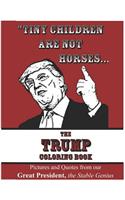 Tiny Children Are Not Horses... the Trump Coloring Book