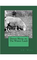 Dorset Sheep, or; The Winter Lamb