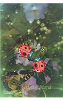 Ladybug Journal