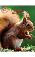 Squirrel Sketchbook: (Sketchbooks for Drawing)