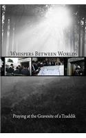 Whispers Between Worlds