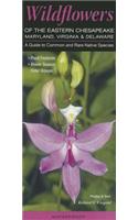 Wildflowers of the Eastern Chesapeake: Maryland, Virginia & Delaware: A Guide to Common & Rare Native Species