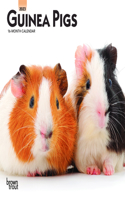 Guinea Pigs 2023 Mini 7x7