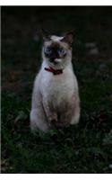 Burmese Cat Notebook