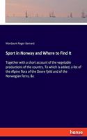 Sport in Norway and Where to Find It