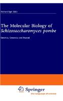 Molecular Biology of Schizosaccharomyces Pombe