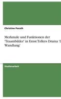 Merkmale und Funktionen der 'Traumbilder' in Ernst Tollers Drama 'Die Wandlung'