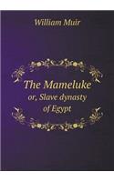 The Mameluke or, Slave dynasty of Egypt