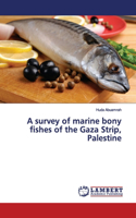 A survey of marine bony fishes of the Gaza Strip, Palestine
