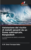 Valutazione del rischio di metalli pesanti da un fiume subtropicale, Bangladesh