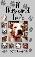 A Thousand Tails