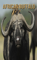 African Buffalo: African Buffalo: Children's Books --- Beautiful Pictures & Interesting Facts Children Book About African Buffalo