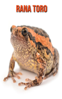 Rana toro: Libro para niños con imágenes asombrosas y datos curiosos sobre los Rana toro