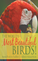 World's Most Beautiful Birds! Animal Book for Toddlers Children's Animal Books