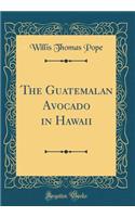 The Guatemalan Avocado in Hawaii (Classic Reprint)