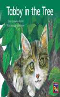 Tabby in the Tree: Bookroom Package Blue Fiction Level 10 Grade 1