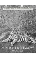 Sunlight and Shadows: An Indian Wildlife Photographer's Diary