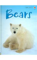 Bears