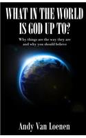 What in the World is God Up To?