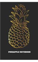 Pineapple Notebook: Gold Gradient Blank Line Pineapple Notebook / Journal Gift (6 X 9 - 110 Blank Pages)