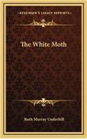 The White Moth