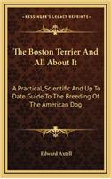 Boston Terrier And All About It