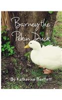 Barney the Pekin Duck