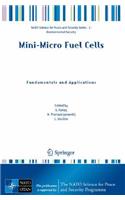 Mini-Micro Fuel Cells