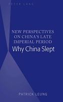 New Perspectives on China’s Late Imperial Period