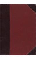 ESV MacArthur Study Bible