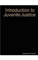 Introduction to The Juvenile Justice System