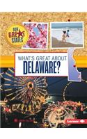What's Great about Delaware?
