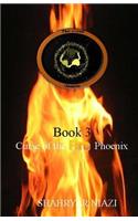 Curse of the Fire Phoenix