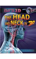 Head and Neck in 3D