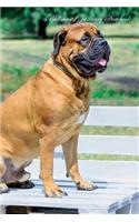 Bullmastiff January Notebook Bullmastiff Record, Log, Diary, Special Memories, To Do List, Academic Notepad, Scrapbook & More