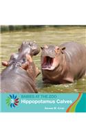 Hippopotamus Calves
