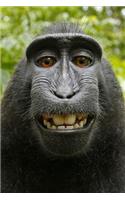 Celebes Black Crested Macaque Journal