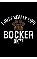 I Just Really Like Bocker Ok?