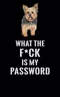 What The F*CK Is My Password, Yorkshire Terrier