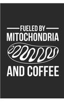 Fueled By Mitochondria