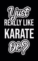 I Just Really Like Karate Ok?