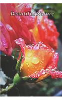 Beautiful Nature