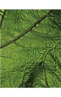 Leaf Veins Sketchbook: Blank Art Sketch Pad Journal Notebook(31 Go Green 150 Sketch)