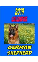 2019 Calendar German Shepherd: Dog weekly calendar, personal contacts list, password log, notes and to do list.